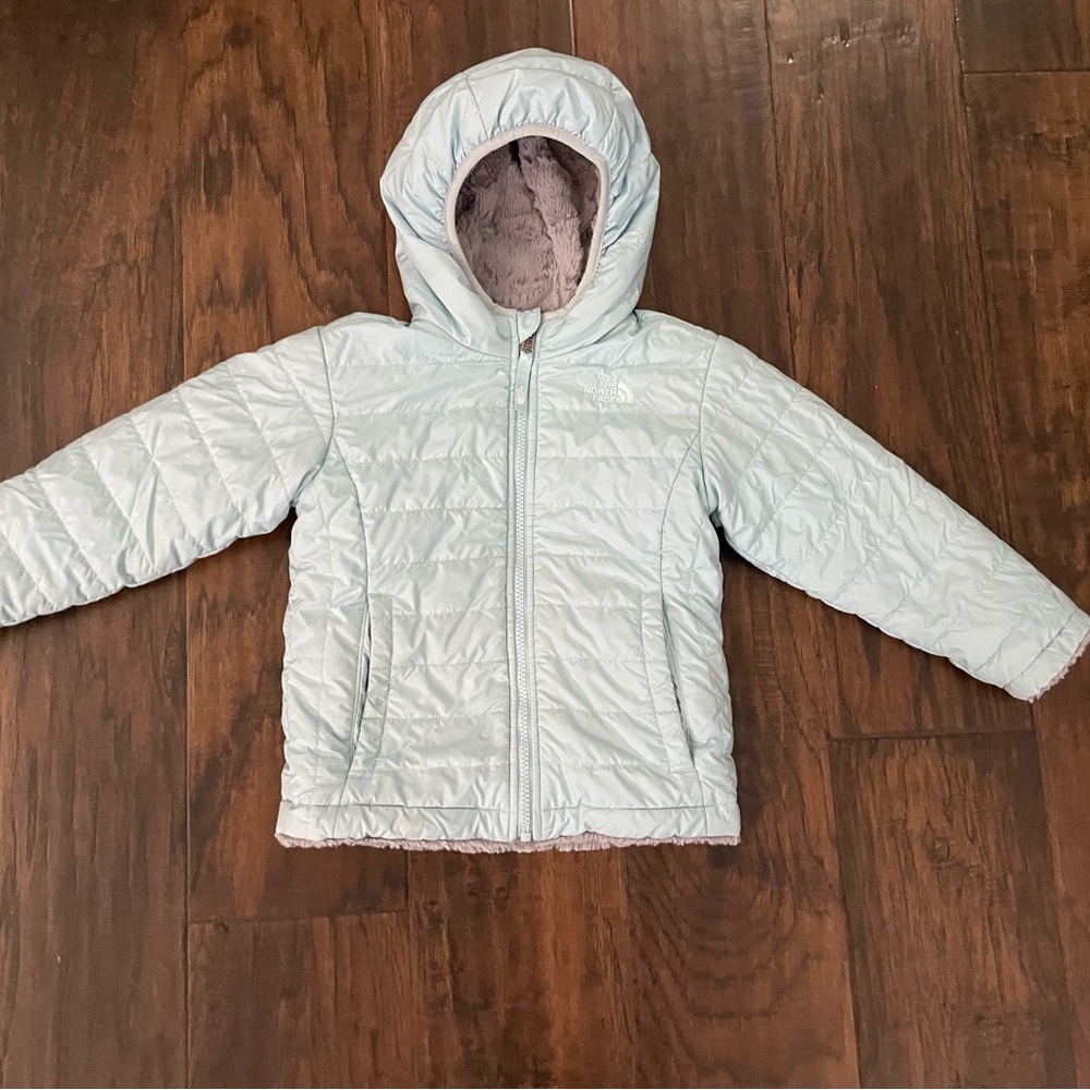 The North Face Light Cyan Hooded Puffer Jacket